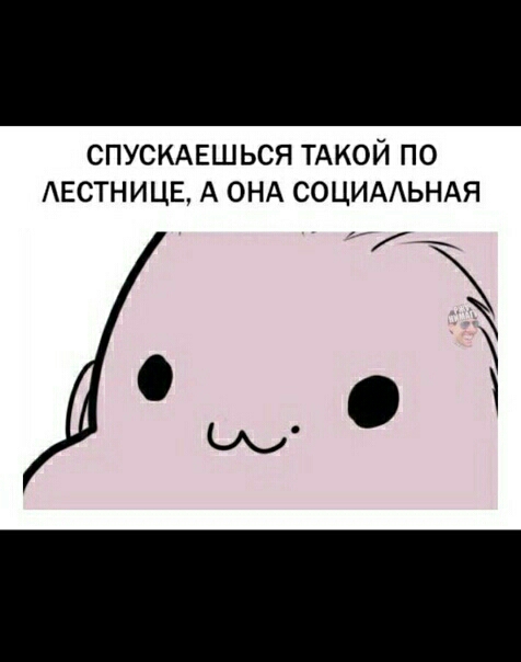 СПУСКАЕШЬСЯ ТАКОЙ ПО АЕСТНИЦЕ А ОНА СОЦИААЬНАЯ Щ