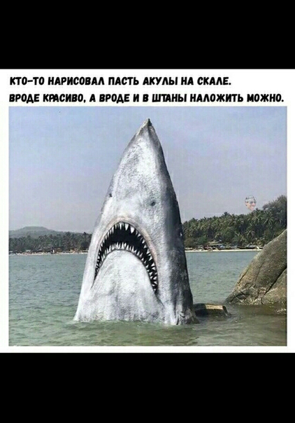 кто ти вписаны пдсп Акулы нд схААЕ вроде ктсива А вроде и и шины множить иожив