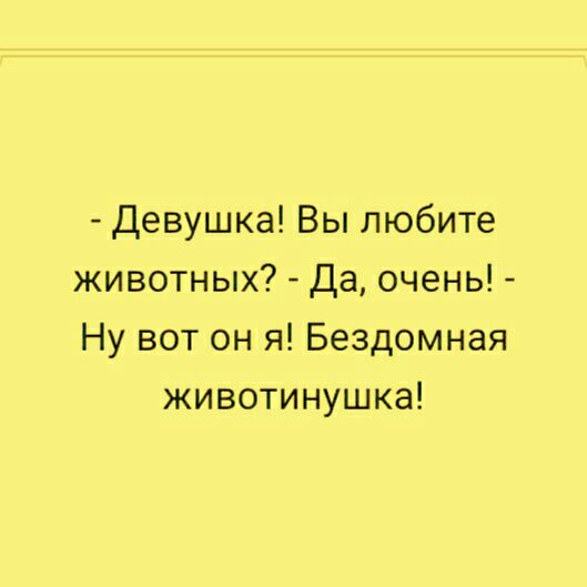 Девушка Вы любите животных Да очень Ну вот он я Бездомная животинушка