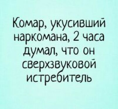 Комар укусивший наркомана 2 часа думал что он сверхзв ковои истре итель