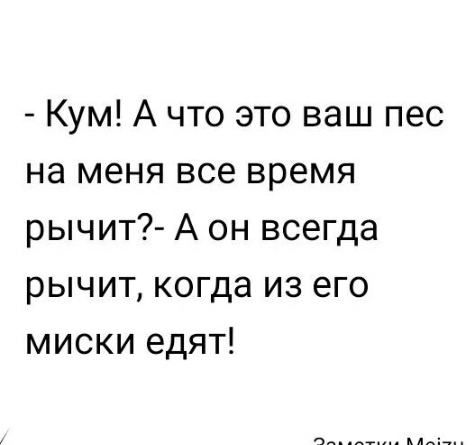 Кум А что это ваш пес на меня все время рычит А он всегда рычит когда из его миски едят