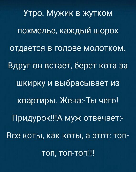 Утро Мужик в жутком похмелье каждый шорох отдается в голове молотком Вдруг он встает берет кота за шкирку и выбрасывает из квартиры Жена Ты чего ПридурокА муж отвечает Все коты как коты а этот топ топ топ топ