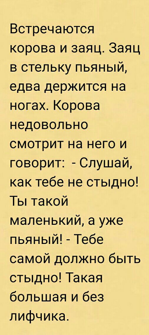 Встречаются корова и заяц Заяц в стельку пьяный едва держится на ногах Корова недовольно смотрит на него и говорит Слушай как тебе не стыдно Ты такой маленький а уже пьяный Тебе самой должно быть стыдно Такая большая и без лифчика