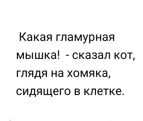 Какая гламурная мышка сказал кот глядя на хомяка сидящего в клетке