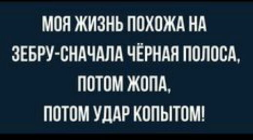 МПП ЖИЗНЬ ППХОЖА НА ЗЕБРУ СНАЧАЛА ЧЁРНАЯ ППЛПСА ПШОМ ЖОПА ППТПМ УДАР КОПЫЮМ