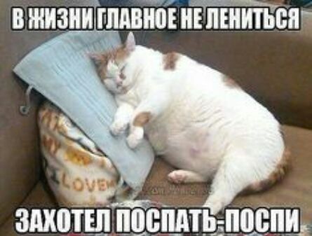 вжизниппдвібі нъпъиитъся ш здхотШЁЁЁШЬ ЕШШПИ