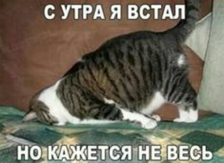 с УТРА я ВСТАЛ ояш5 вееы