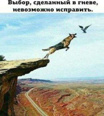 Выбор сделанный в гневе невозможно исправить