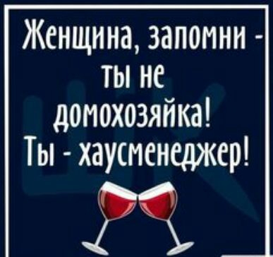 Женщина запомни ты не домохозяйка Ты хауспенешкер