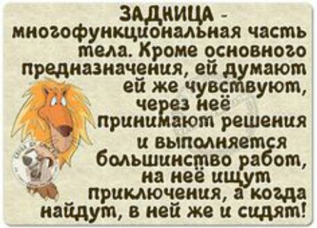 3 ни миоифунщъанмЪая часть тела Кроме основного прадиазиачэния ейд дают вйже ч вед ву ют принидЁоте решения и выполняет я 7 3 бмьшциство ра от на нее ищут то примючепця когда найдут в ней же и сидят