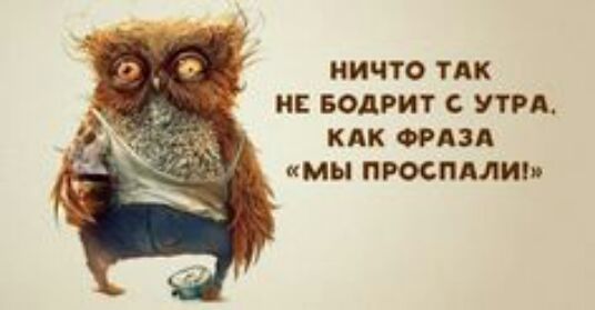 ИИЧТО ТАК НЕ БОДРИТ С УТРА КАК ФРАЗА мы ПРОСПАЛИ