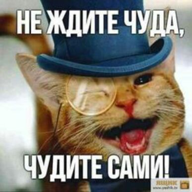 чудитюдмёд