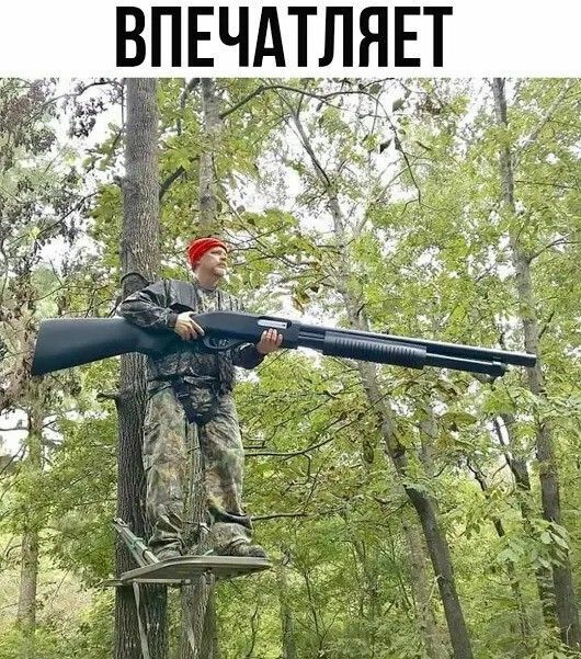 ВПЕЧАТЛЯЕТ