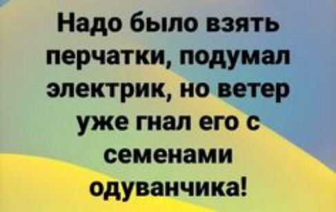 Надо было взять перчатки подумал электрик но ветер уже гнал его с семенами одуванчика