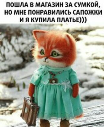 ПОША В МАГАЗИН ЗА СУМКОЙ МО МНЕ ПОНРАВИЛИСЬ САПОЖКИ и я купим пмтЬЕ