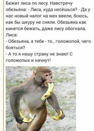 Бежит лиса по лесу Навстречу обезьяна Лиса куда неоёшься дв у нас новый налог на мех пели боюсь как вы шкуру е сияли Обезьяна инк кипиш бежать даже лису обогнали Писа Обезьяна тебе то гопожопой чего боишся А то я ищу страну не мю голотпых и иічиуг