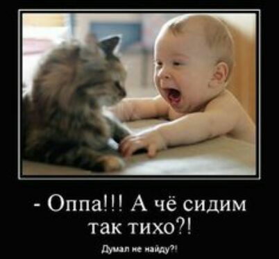 Оппа А чё сидим так тихо тиши киш