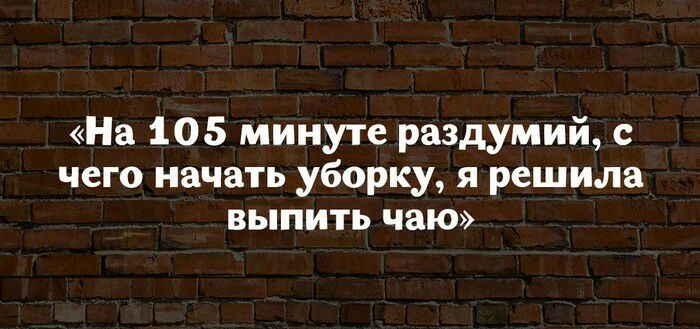 На 105 минуте раздумий с чего начать уборку я решила выпить чаю