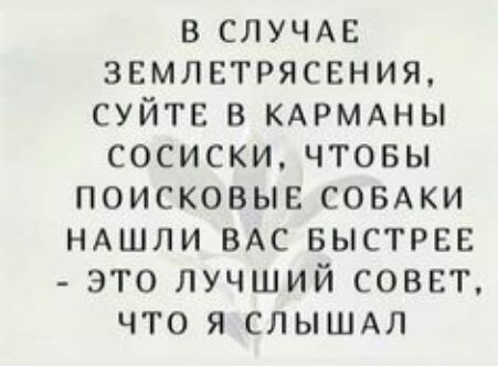 в СЛУЧАЕ землетрясения СУЙТЕ в КАРМАНЫ сосиски чтовы поисковыв СОБАКИ ндшли ВАС БЫСТРЕЕ это лучший совет что я СЛЫШАЛ