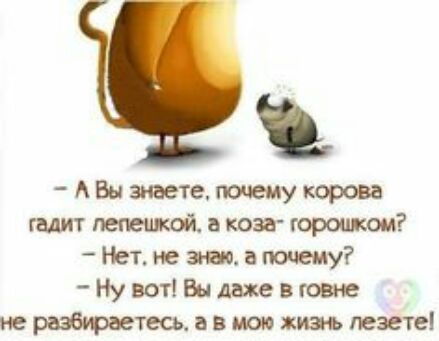 А Вы знаете пшему корова гадит мишкой а так горошком Нет не анис а ючему Нувот18ыдажевговне не разбираетесь а в мою жизь газете