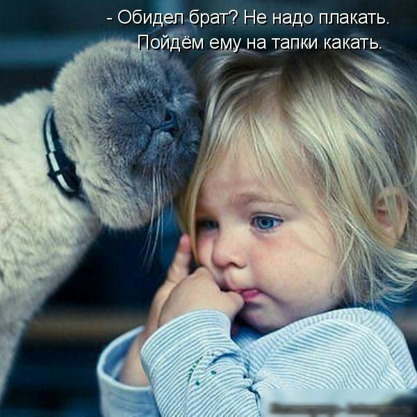 Обидеп брат Не надо плакать Пойдём ему_на тапки какать