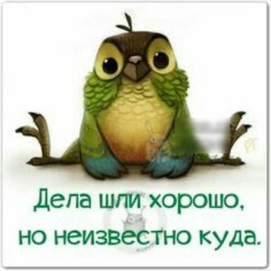 дела шт хорошо но неизвестно куда