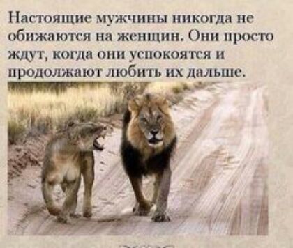Настоящие мужчины никогда не обижаются на женщин Они просто жщт когда они успокоится ют любить их лил_ьшс
