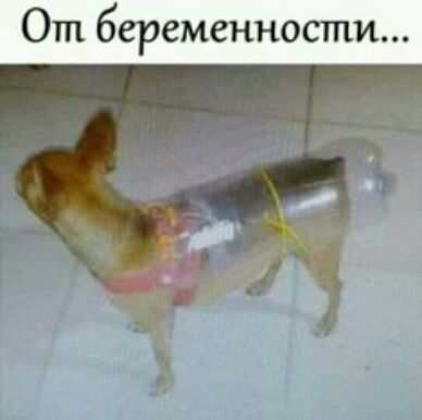 м