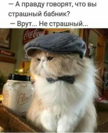 А правду говорят что вы страшный бабник Брут Не страшный