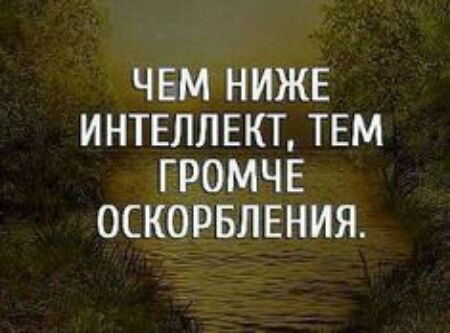 ЧЕМ НИЖЕ ИНТЕЛЛЕКТ ТЕМ ГРОМЧЕ ОСКОРБЛЕНИЯ