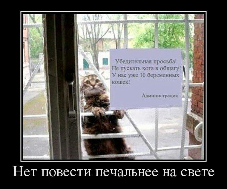 Нет повести печальнее на свете