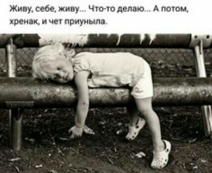 сбц живу ч юдшшю А пшом хрен и чип приуиыпа