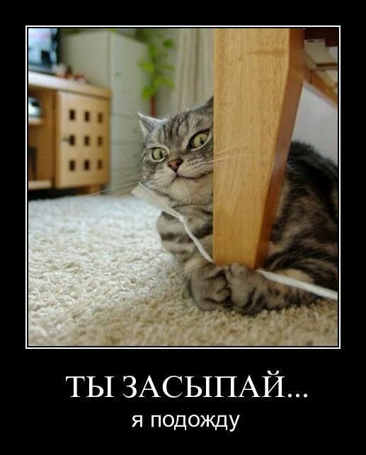 ТЫ ЗАСЫПАЙ я подожду