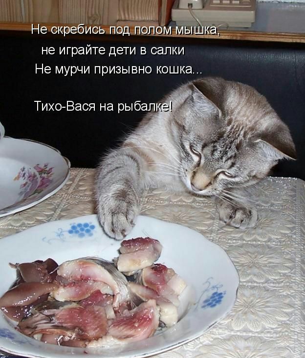 у т_ гггн БРЁЁЦМ не играйте дети в сапки Не мурчи призывно кошка