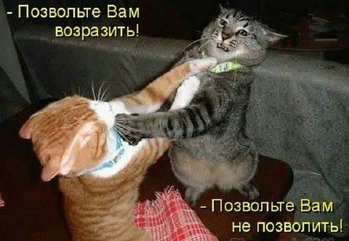 Позвольте Вам возразить Позвольте Вам не позволить