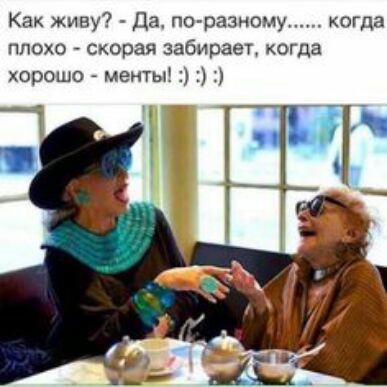 Как живу Да по разному плохо скорая забирает когда хорошо менты когда