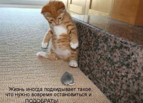 Жизнь иногда подкидывает такое то нужно вовремя остановиться и ПОДОБРАТЬ _ _