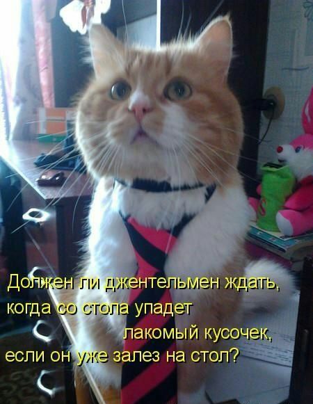 акомый кусоч_ д ЭСПИ О ЗдПЭЗ на СТОП
