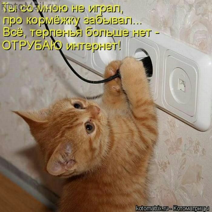 РШСпоЁНгшго на играл прога ёжю 3 _быа1л всё 3 лень богчде нэг ОГР 56 иглгарнэг