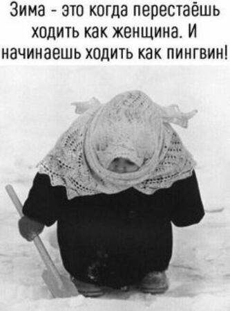 Зима это когда перестаёшь ходить как женщина И начинаешь ходить как пингвин