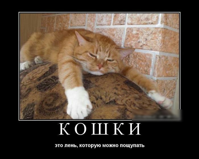 это пень которую можно пощупать