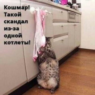 Каши р Такой скандал итп одной кил ті
