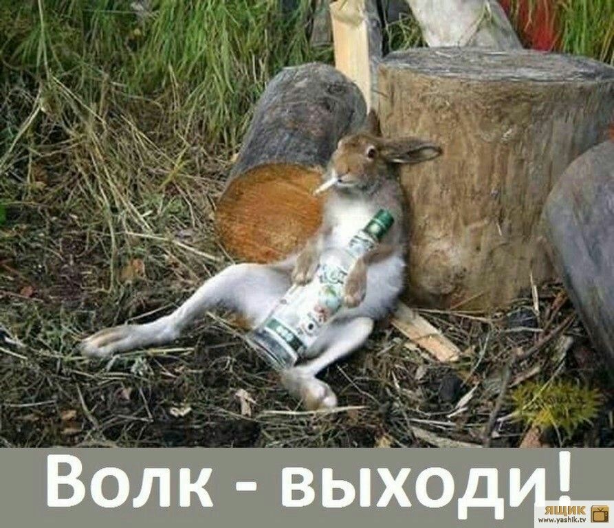 _
