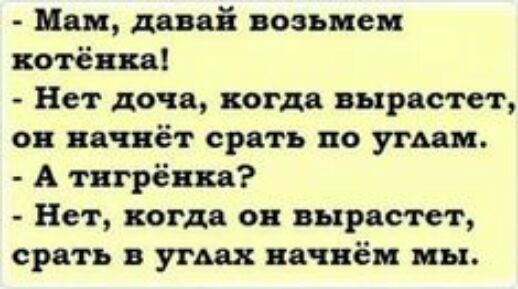 Мам давай возьмем котёнка Нет доча но дв вырастет он начнёт срать но угмм А тнгрёнп Нет когда он вырастет срать угш начнём мы
