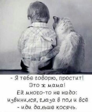 Я тебе 1060рюпростит ЭП 2 мама Ей диоаогто не надо виним ища под и Все иди дальше косячь