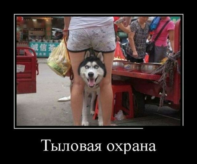 Тыловая охрана