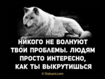 Його не вомпют твои провдвиы людям просто интвсио ты выкрутишься и л
