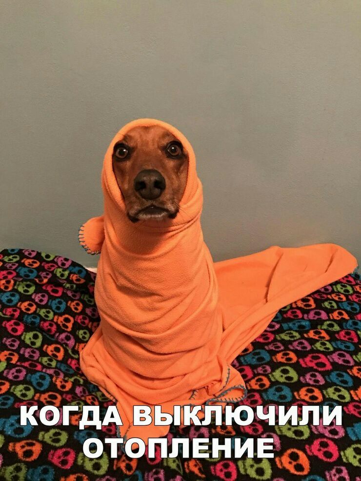 Ёізееім КФЛЁЁД
