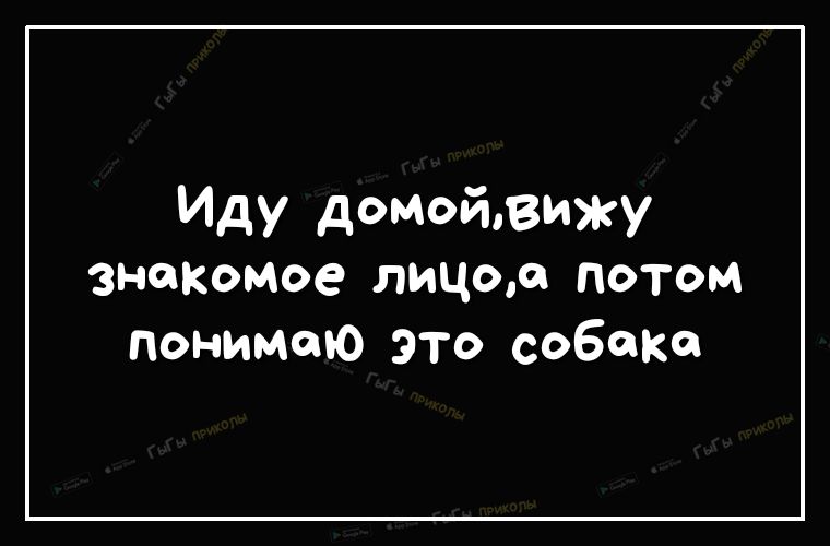 Иду домойзижу зн0кмое лицод потом Понимаю это собаке