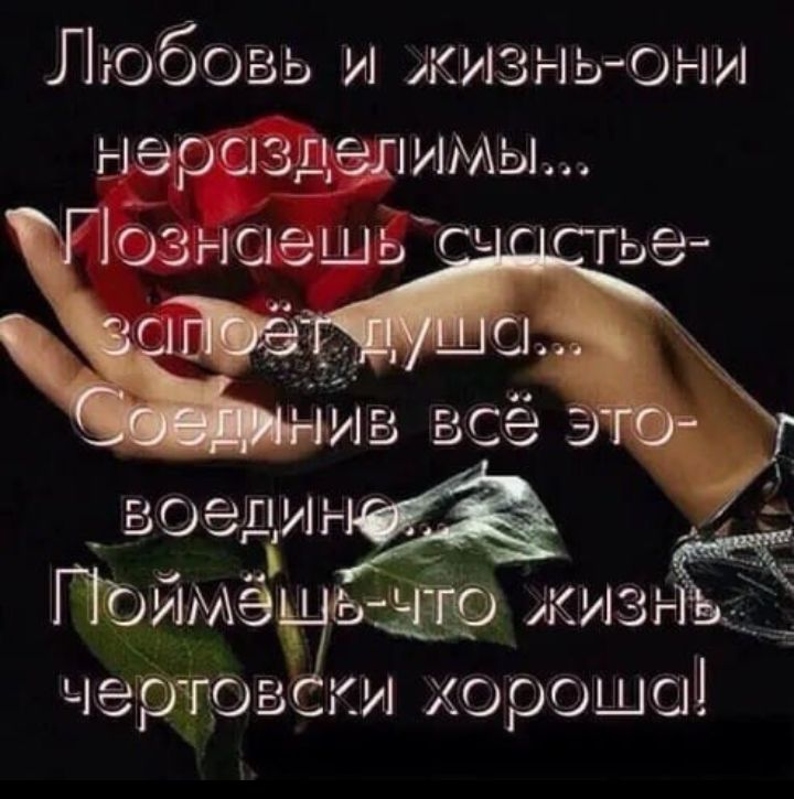 _ Люоовь и жизньони нэрслзшылимьм озншешьт ЁЙмё шлзнъ четэвши хороше